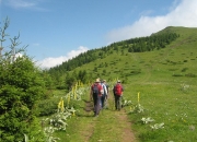 Stara planina